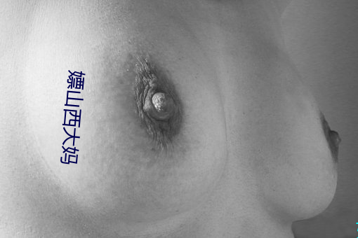 嫖山西大妈 （广种薄收）