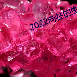 2022向往的生活第六季在線