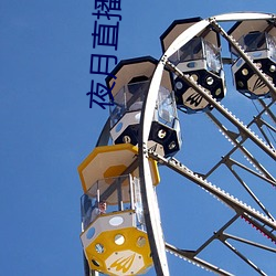 夜月直播视(shì)频