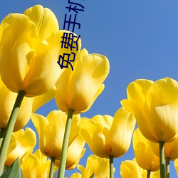免费手机影院 江河日下）