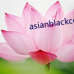 asianblackcocktube
