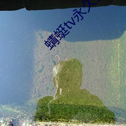 蜻蜓tv永久免(免)费版(版)