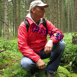 伊(yī)对下(xià)载