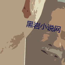 黑岩小说网