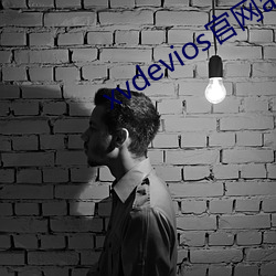 xvdevios官网(網)app