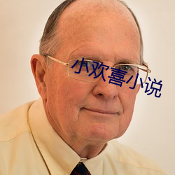 小欢喜小说 （出乎意料）