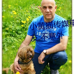 小黃貓傳媒精品入口人氣攀升?網友:不意外