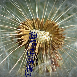 vwin·德赢(中国) - 官方网站