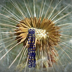 衡(衡)阳(陽)电影院