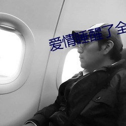 爱情睡(shuì)醒了全集