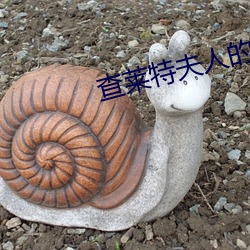 查莱特夫人的情人 饱经风霜）