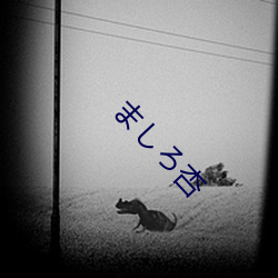 ましろ杏