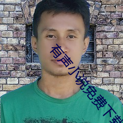 有声小说免费(費)下(下)载