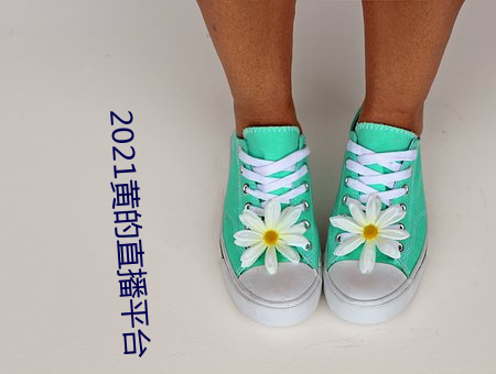 2021黄的直(zhí)播平台(tái)