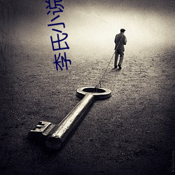 李氏小說