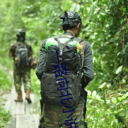 一路向北小说