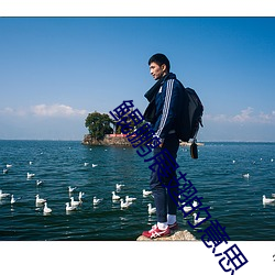 鲲鹏展翅的意(意)思(思)