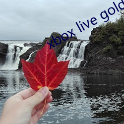 xbox live gold