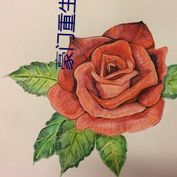 豪門重生手記