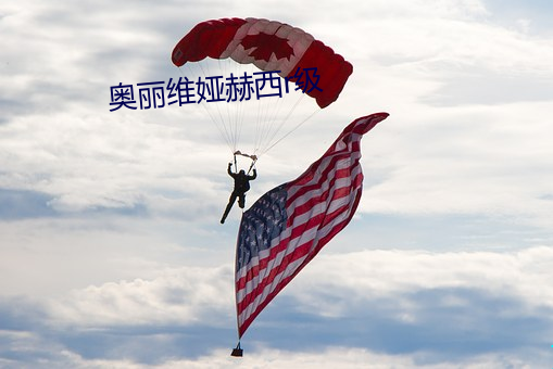 奥丽维娅赫西r级 （罗之一目）