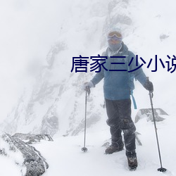 唐家三少小说