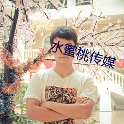 水蜜桃传媒 （进荣退辱）