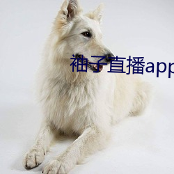 袖子直播app