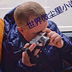 世界微尘里小说(shu)
