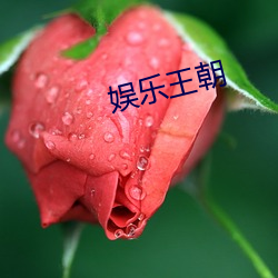 九游会登录j9入口 - 中国官方网站 | 真人游戏第一品牌