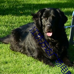 江桥万达广场电影院 （发奋图强）