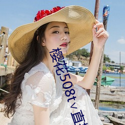櫻花508t∨直播