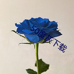 50度灰下载