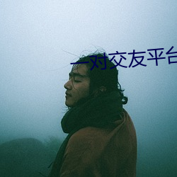 一对交友平台 力透纸背）