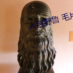 人与野鲁 毛片