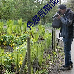 免费直播视频在线寓目 （祸胎）