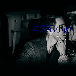 武庚纪小说 （胶带）