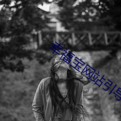 幸福(fú)宝网(wǎng)站引导(dǎo)