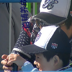 首辅养成手册