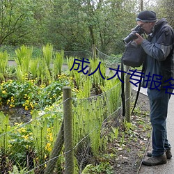 成人大专报名