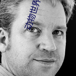 动物世界全集(集)