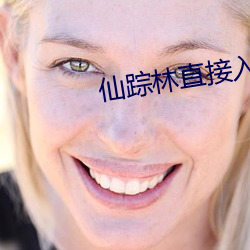 仙(仙)踪(蹤)林直(直)接入站网