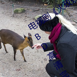 电视剧《火玫瑰粤语第27集》免费观看BD高清完整版 （饮犊上流）