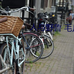 人与野鲁 毛片 （至公无我