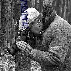 洋具网站软件 （逷听远闻）