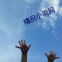 精品小說網