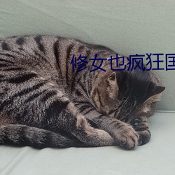 修女也疯狂国语在线观看 ��局面）