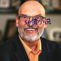 se情小說