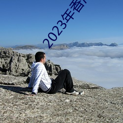 2023年香港免费资料大全正版长期经典版