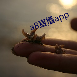 a8直播app