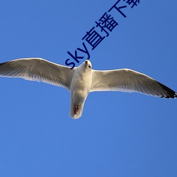 sky直播下載安卓